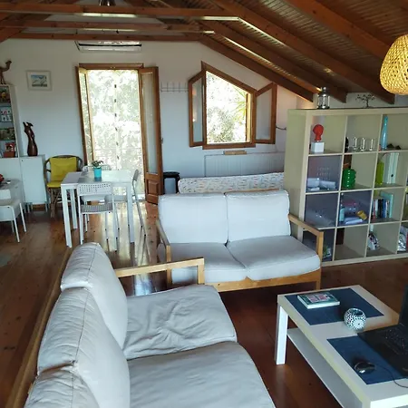 Apartment Nikos Loft Olympia Kato Figalia
