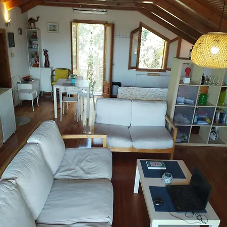 Nikos Loft Olympia Apartment