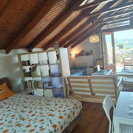 Nikos Loft Olympia Apartment Kato Figalia
