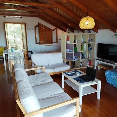 Nikos Loft Olympia Apartment Kato Figalia