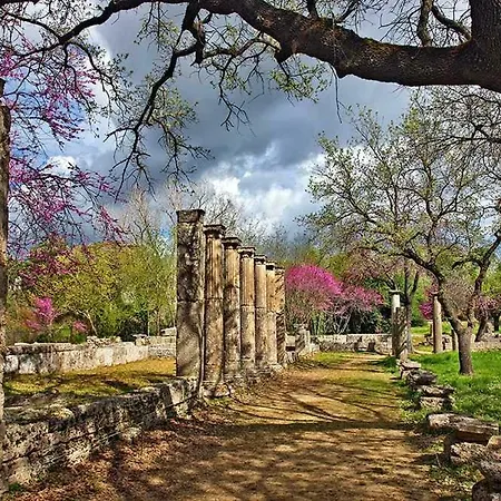 Daire Nikos Loft Olympia Kato Figalia